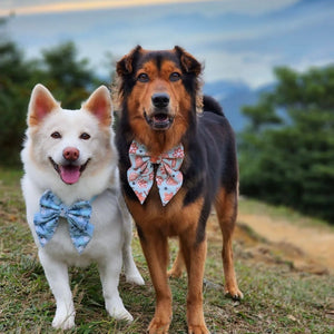 GINGERBREAD BAKERY - Bandana Standard // READY TO SHIP