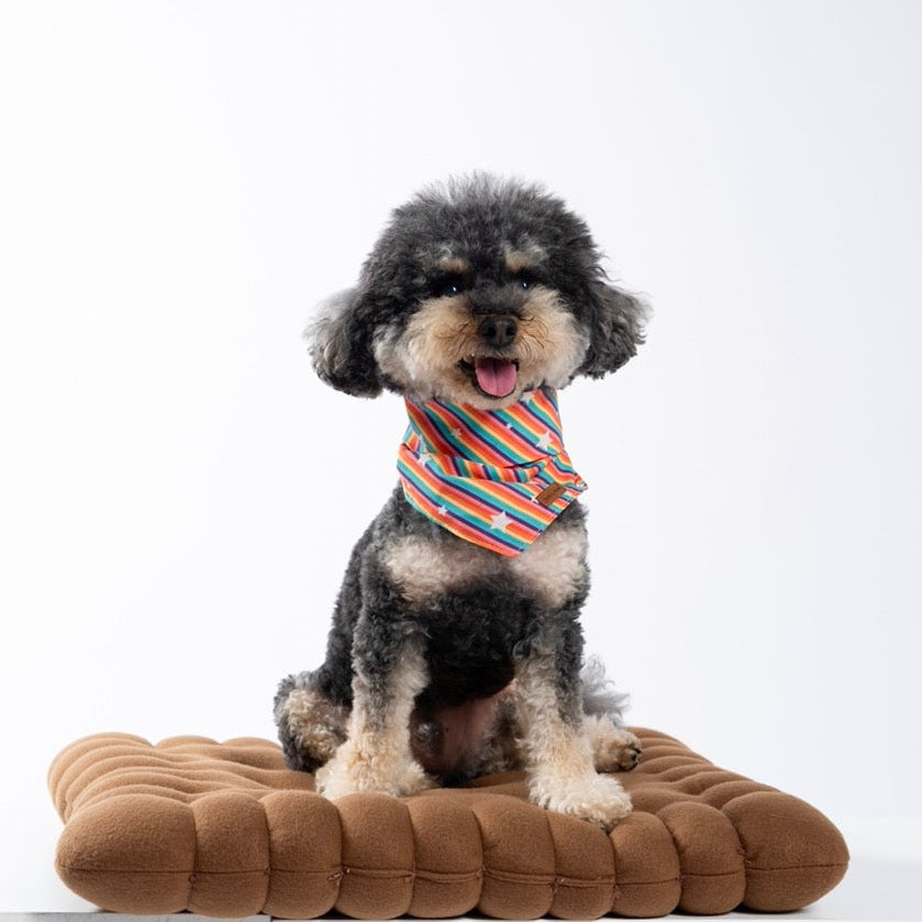 RAINBOW STARS - BANDANA