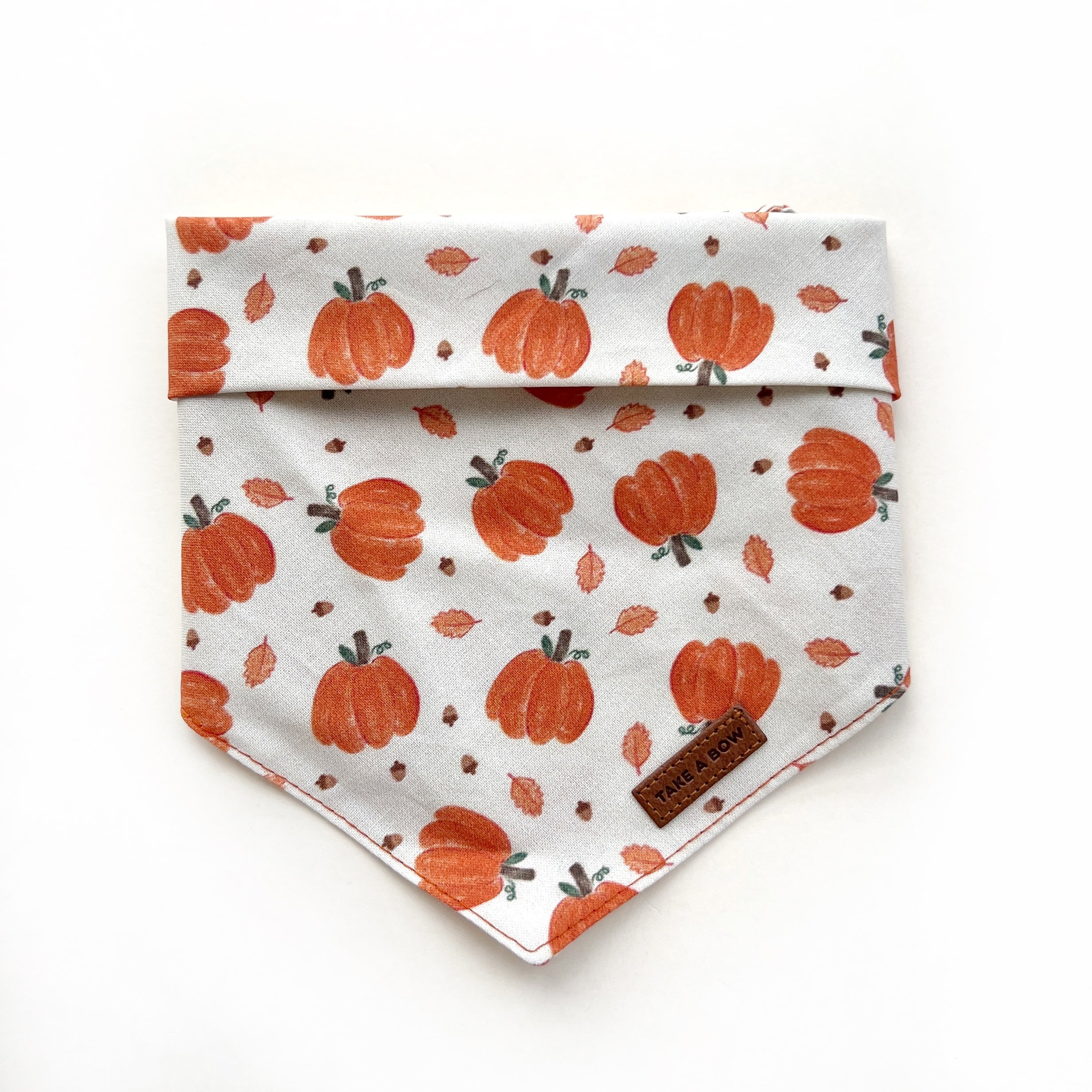 PUMPKIN SEASON - BANDANA