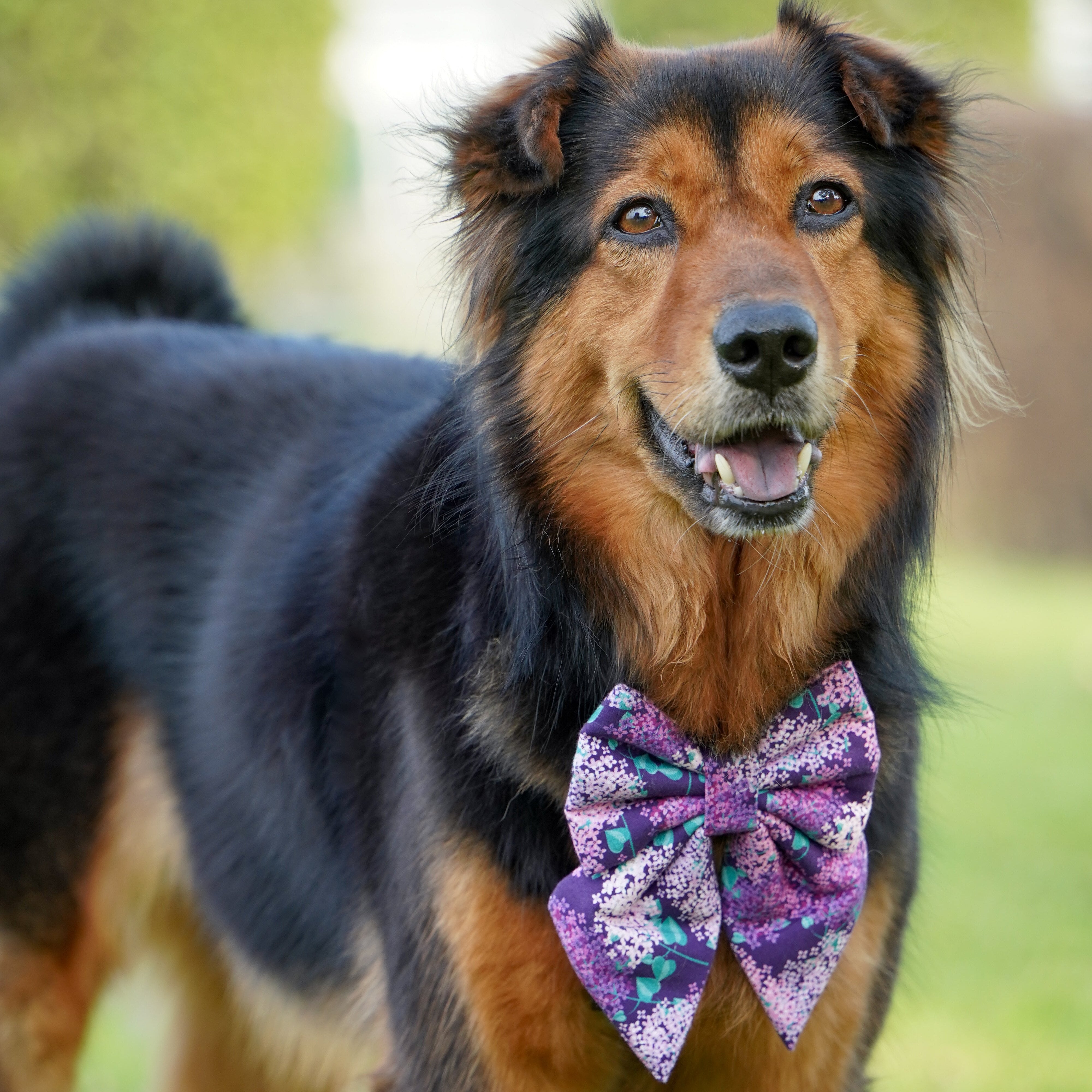 PURPLE HYDRANGEA - BANDANA