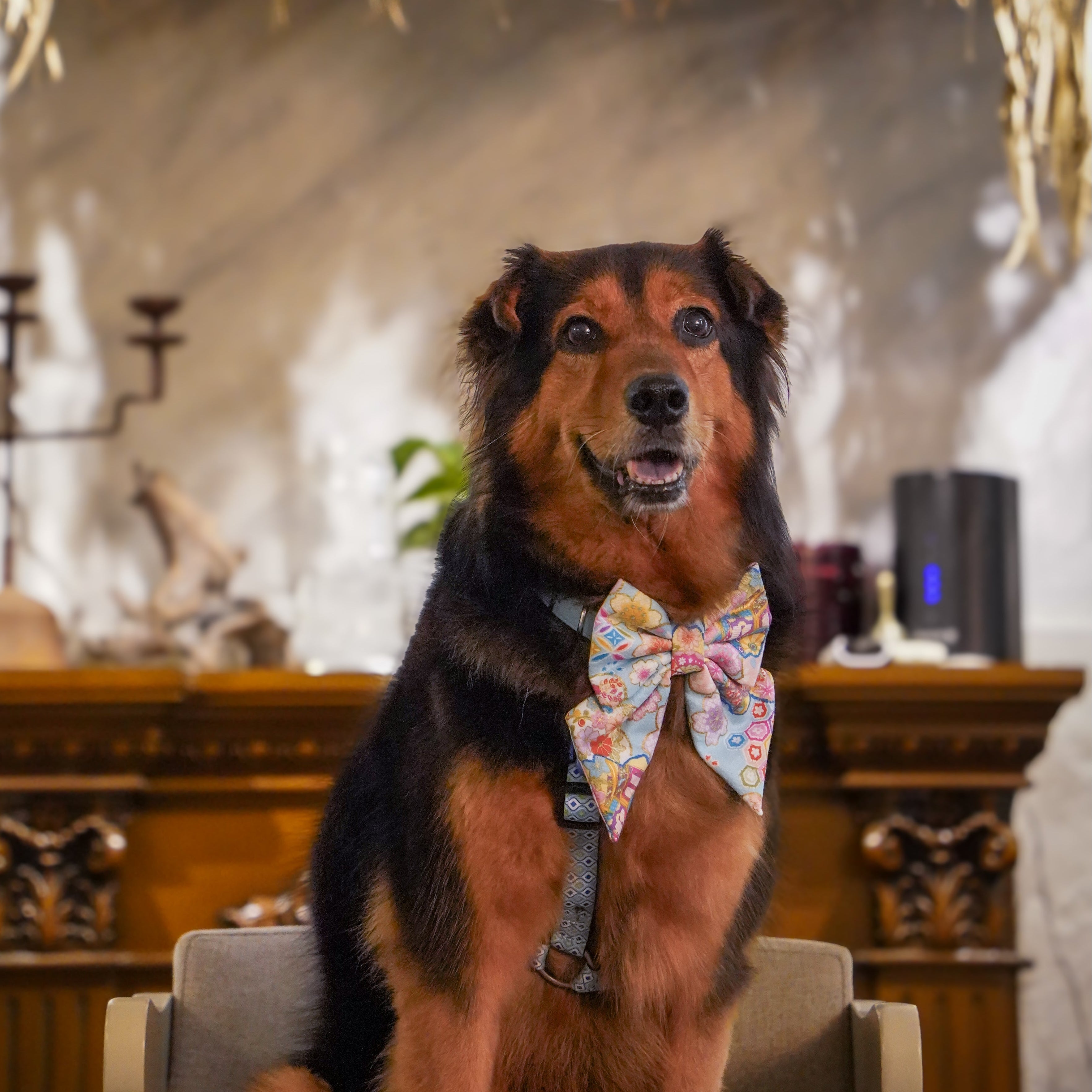 NIJI RAINBOW BLUE - BANDANA