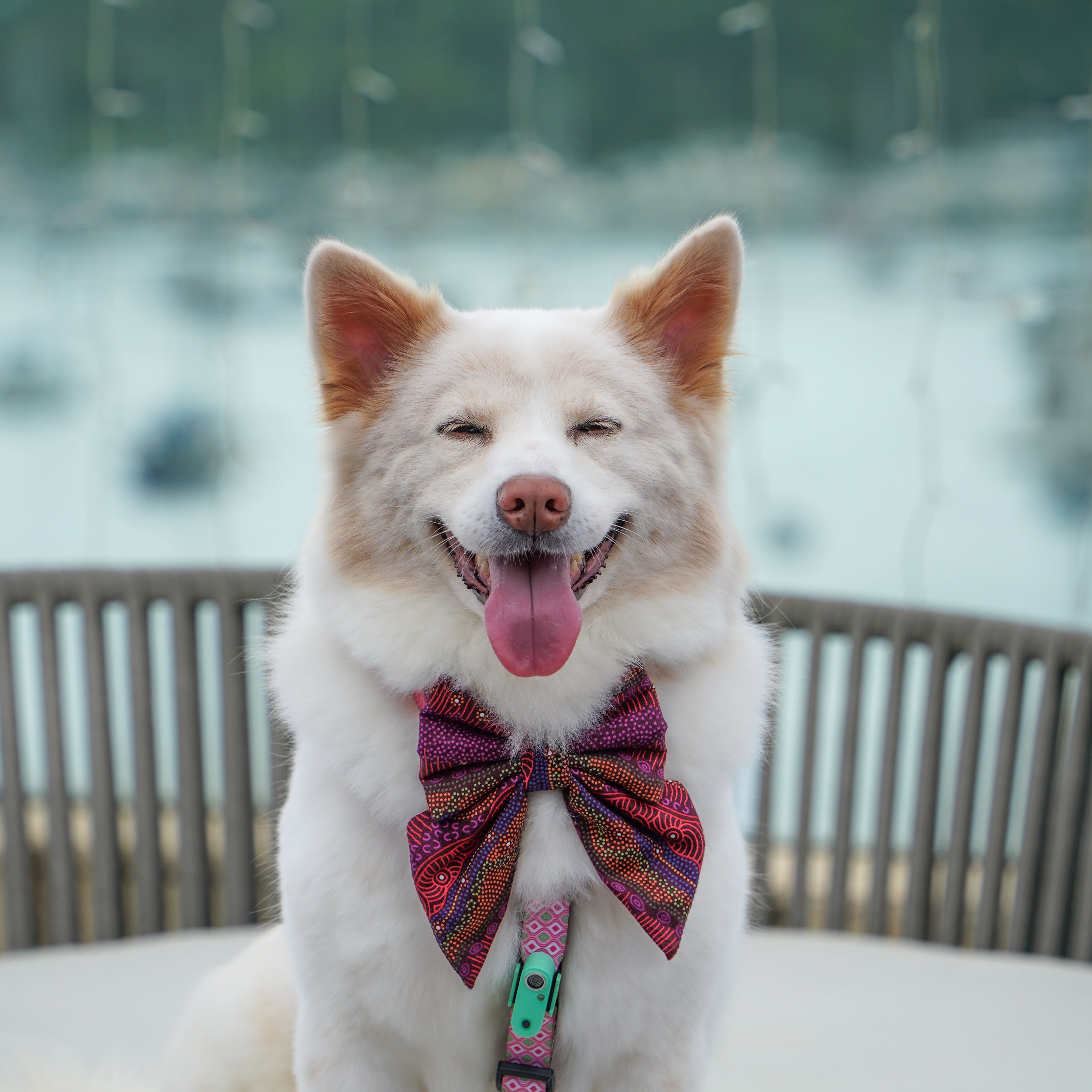 INDIGENOUS - BANDANA