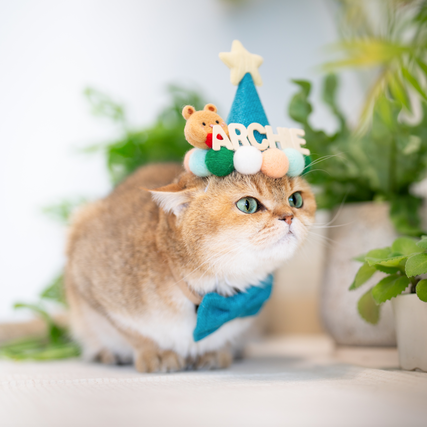 BARKDAY HAT - PINK MARSHMALLOW