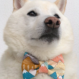 SUMMIT - DOG COLLAR
