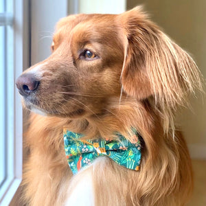 WILD JUNGLE - Bowtie Petite // READY TO SHIP