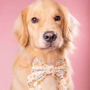 APRICOT POPPY - Bowtie Petite & Large // READY TO SHIP