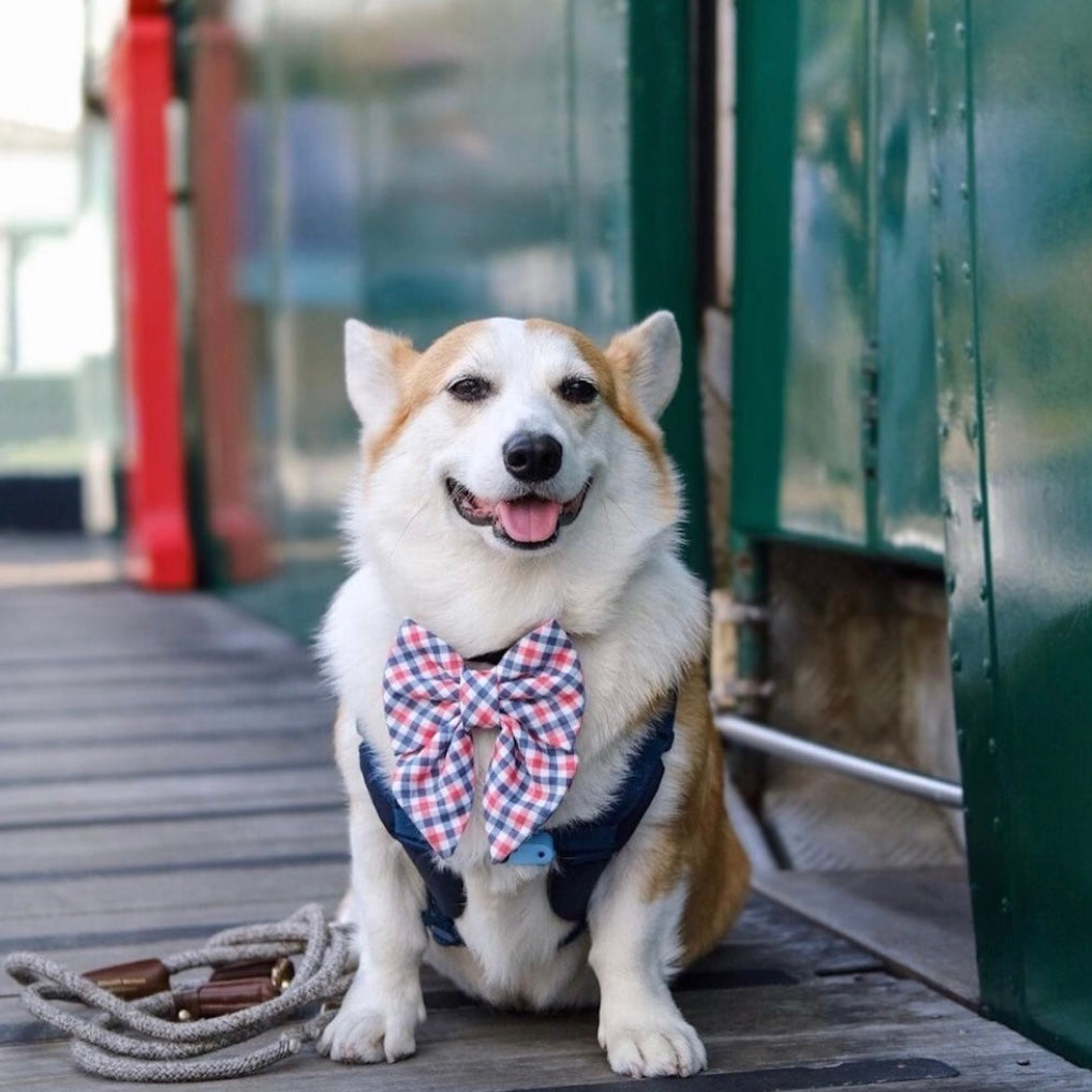 NEW YORK - BANDANA