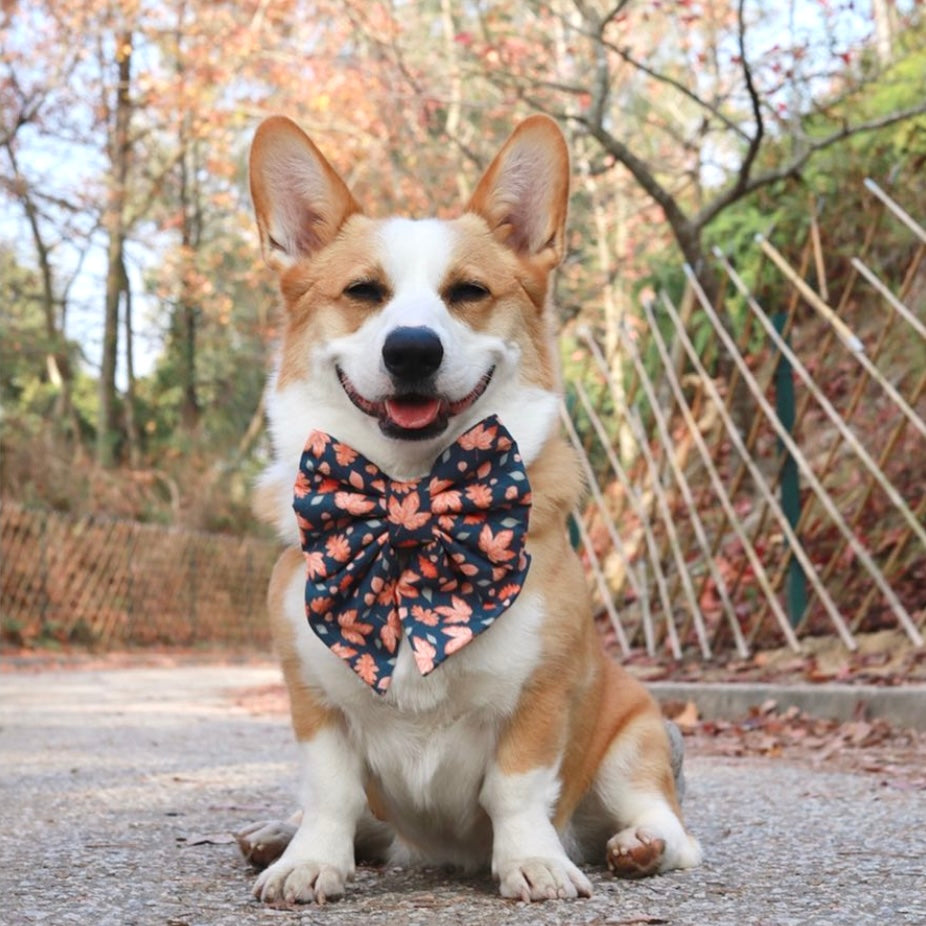 AUTUMN LEAF - Bowtie XL // READY TO SHIP