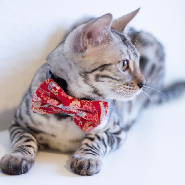 OBI RIBBON - BANDANA