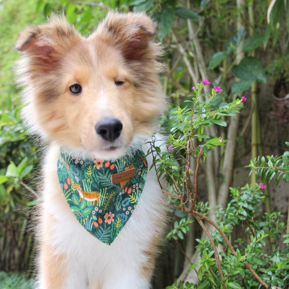 WILD JUNGLE - Bowtie Standard & Large // READY TO SHIP