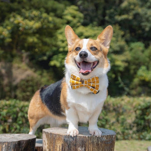 TILES TURMERIC - Bowtie Large // READY TO SHIP
