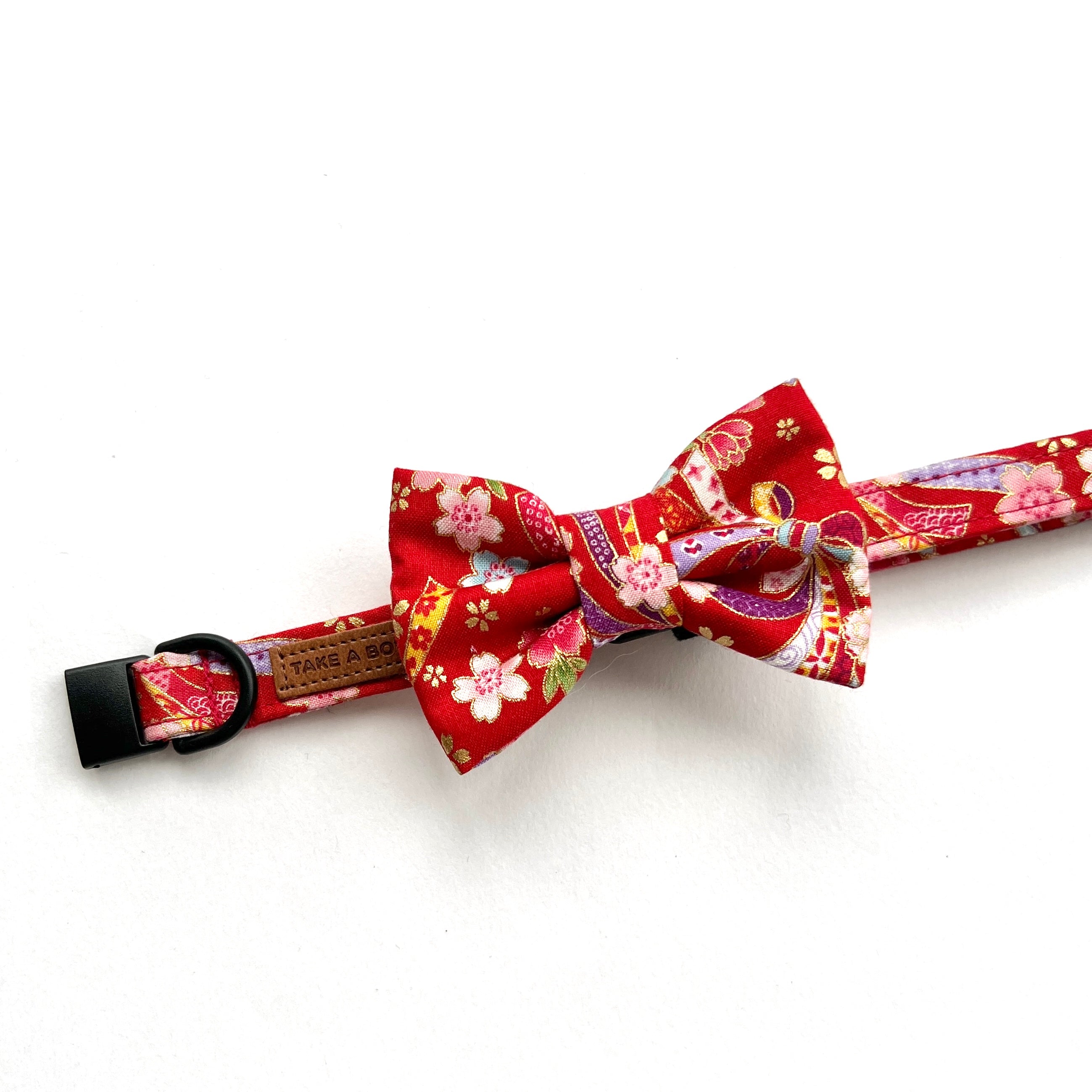 OBI RIBBON - CAT COLLAR