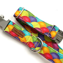 FORTUNE NAMI RAINBOW - Dog Collar 2.5cm Large // READY TO SHIP
