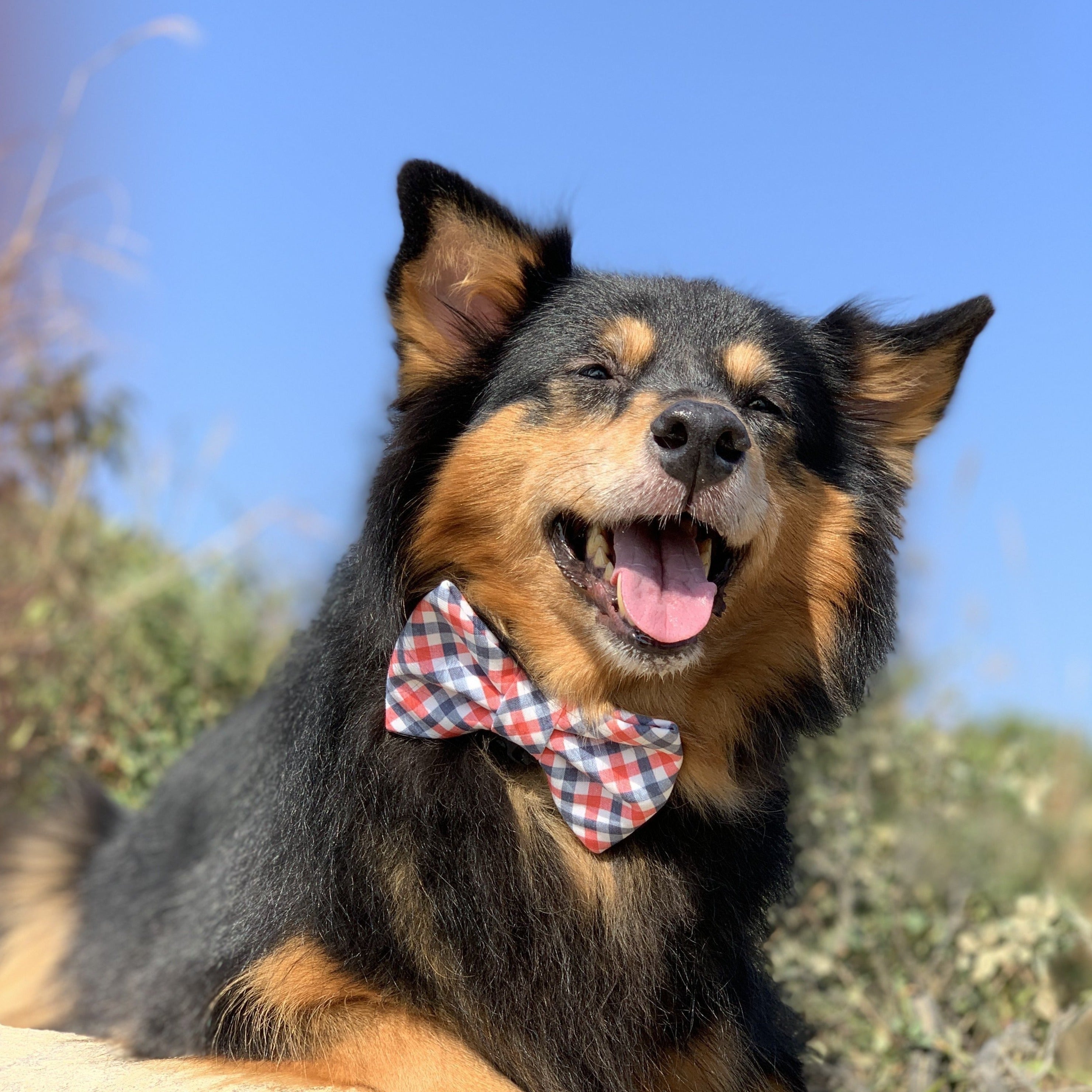 NEW YORK - BANDANA