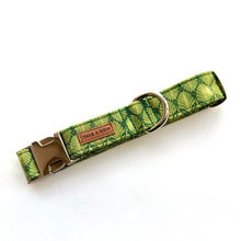 SPRUCE - Dog Collar 2.5cm Large // READY TO SHIP