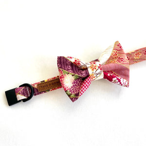 MIYAKO PURPLE - CAT COLLAR