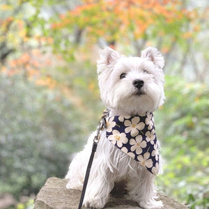 MEKO WHITE - SAILOR BOW