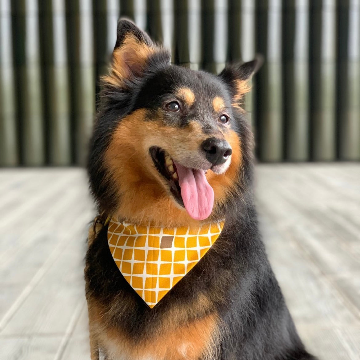 TILES TURMERIC - BANDANA