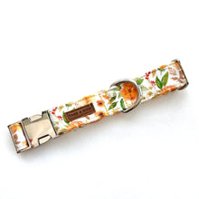 APRICOT POPPY - Dog Collar 2.5cm Large // READY TO SHIP