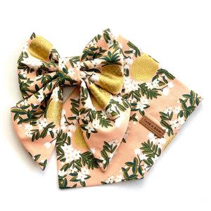 PINA COLADA - Bowtie Standard & Large & XL // READY TO SHIP