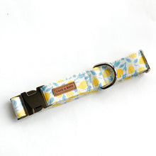 LIMONCELLO - DOG COLLAR