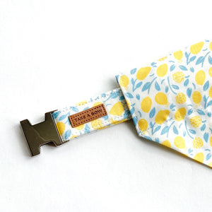 LIMONCELLO - DOG COLLAR