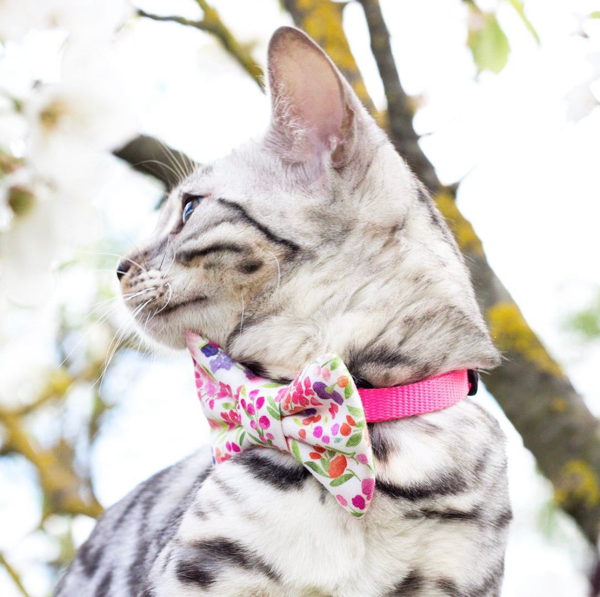 WILD FLOWERS DUSK - Sailor Bow Standard // READY TO SHIP