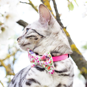 WILD FLOWERS DUSK - Sailor Large // READY TO SHIP