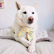 LIMONCELLO - BANDANA
