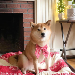 SWEATER SEASON - SAILOR BOW