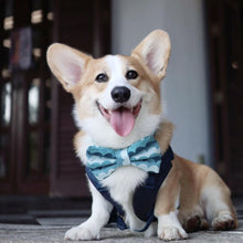 BLUE LAGOON - Bowtie Petite & Standard // READY TO SHIP