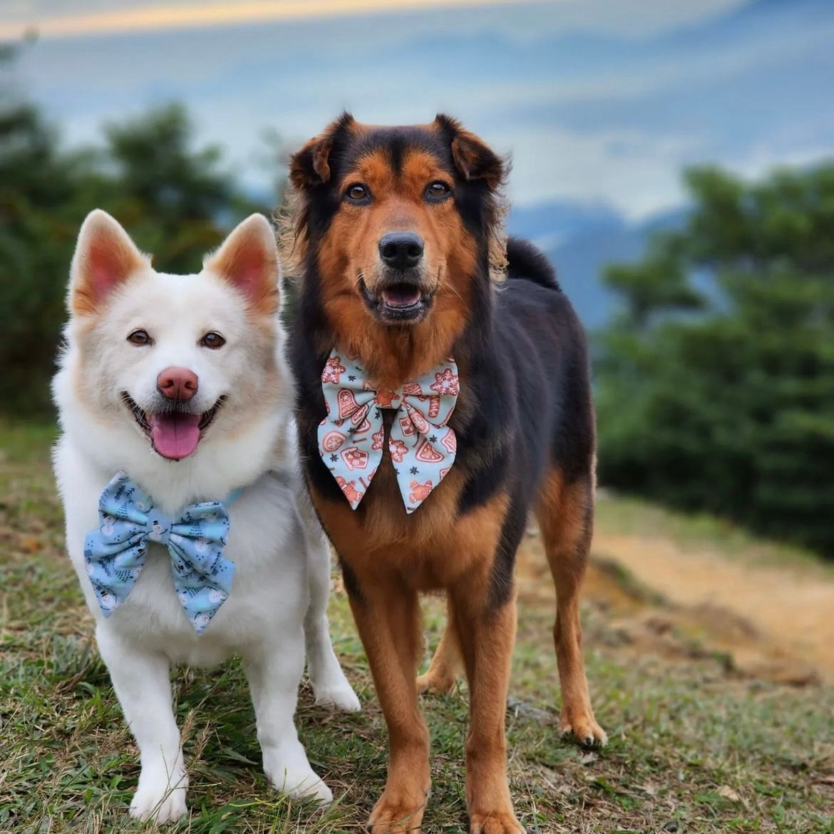 GINGERBREAD BAKERY - BANDANA