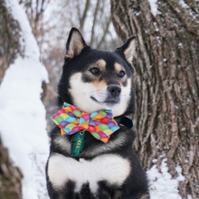 FORTUNE NAMI RAINBOW - Bowtie Petite // READY TO SHIP