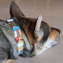RETRO POP - DOG COLLAR
