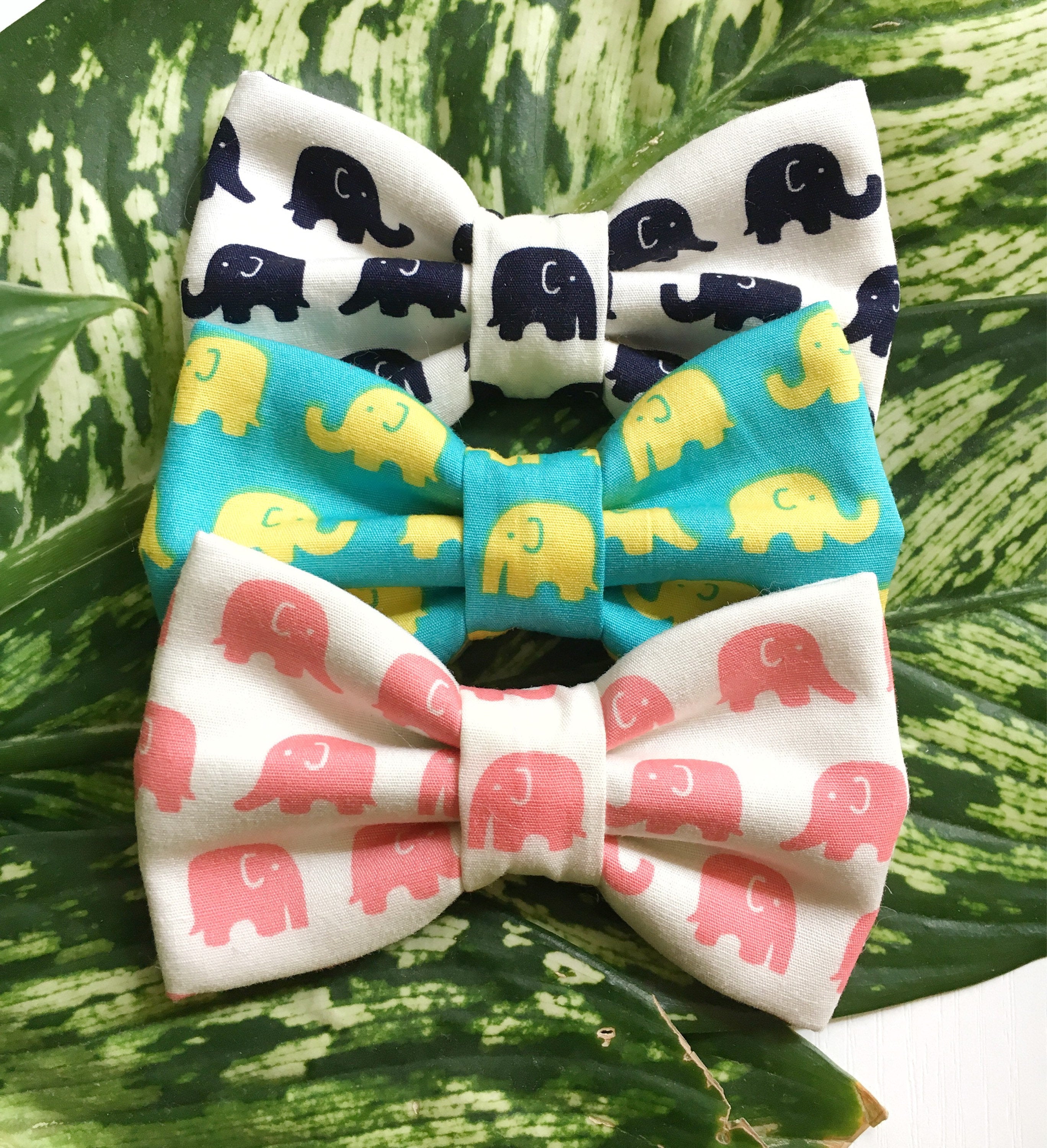 OH MY ELEPHANT BLUSH - Bowtie Petite // READY TO SHIP