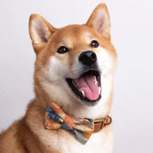 MIYAKO BLUE - DOG COLLAR